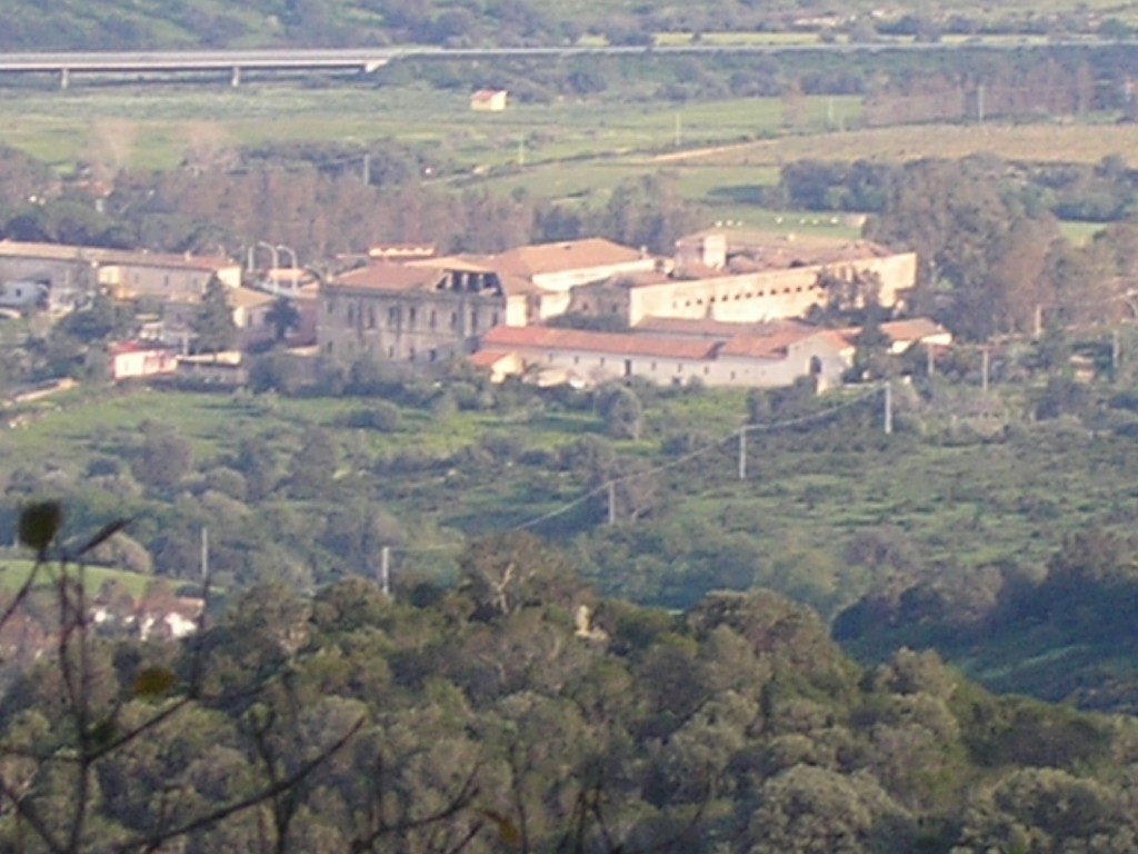 Baressa Almond Groves